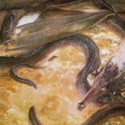 Smaug y el tesoro