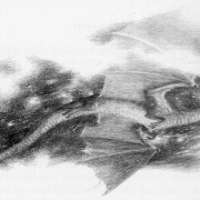 Ataque de Smaug