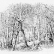 El Bosque