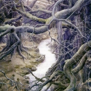 El Bosque de Fangorn