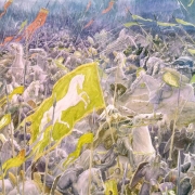 Batalla campos del pelennor