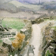 La Comarca devastada