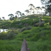 Rodaje en Hobbiton9