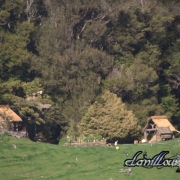 EAU en la casa de Beorn6
