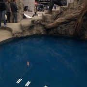 El jacuzzi de Thranduil