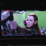 Evangeline Lilly en plena lucha con las Arañas
