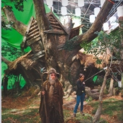 Radagast en Rhosgobel