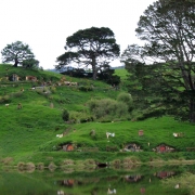 Rodaje en Hobbiton16