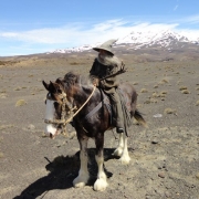 Gandalf a caballo