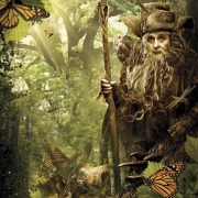 Poster de Radagast