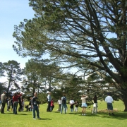 El Árbol de la fiesta 2