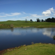 Lago