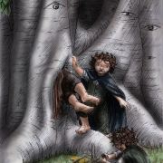 Problemas en el Bosque
