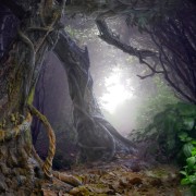 Treebeard1
