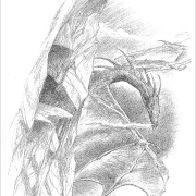 Smaug