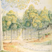 Lothlórien