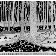 El Bosque Negro