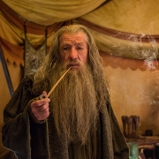 Gandalf reflexiona en la tienda de Thranduil