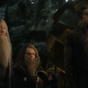 Gandalf, Radagast y Beorn