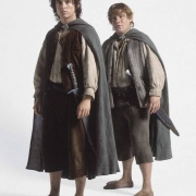 frodobagginssamg