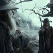 Gandalf y Radagast en los Altos Páramos Gandalf y Radagast en los Altos Páramos