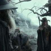 Gandalf y Radagast en los Altos Páramos