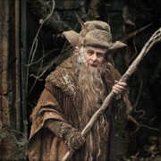 Radagast el Pardo aferrado a su vara