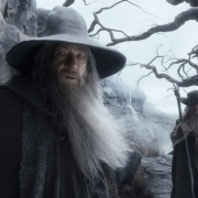 Gandalf y Radagast en los Altos Páramos