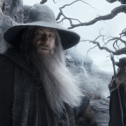 Gandalf y Radagast en los Altos Páramos