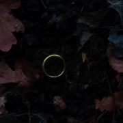 El Anillo en el Bosque Negro