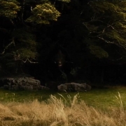 Beorn, furioso