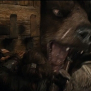 Un oso o un wargo2