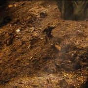 Bilbo corre por el tesoro de Smaug
