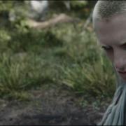 8-Whiteman