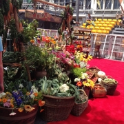 Decoración Hobbit