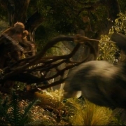 Trineo Radagast