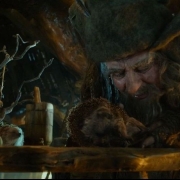 Radagast, un Istari amante de los animales