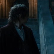 Bilbo advierte la presencia de Thorin