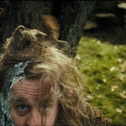 Radagast el Pardo y sus pájaros