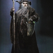 Nueva imagen de Radagast el Pardo
