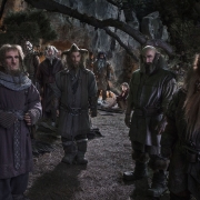 Gandalf, Ori, Óin, Dori, Nori, Bifur, Bilbo, Dwalin y Glóin