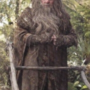 Radagast, un amante de la naturaleza