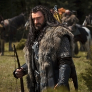 Thorin Escudo de Roble