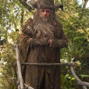 Radagast el Pardo