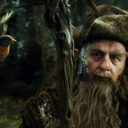 Radagast el Pardo