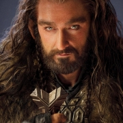 Thorin Escudo de Roble