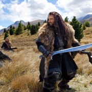 Thorin y Fili
