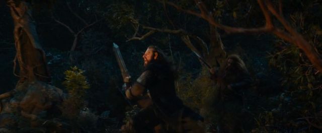 Thorin en acción
