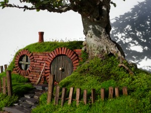 BonsaiChrisGuise5