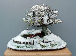 BonsaiChrisGuise6
